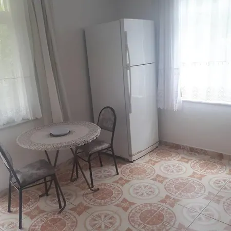 A Flat That Include Town And Nature View * Alanya