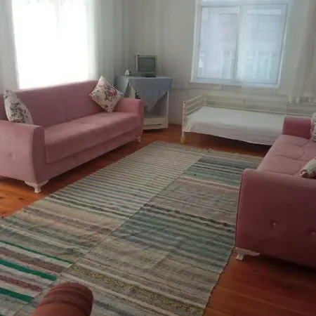 A Flat That Include Town And Nature View * Alanya